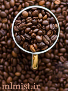 قهوه عربیکا استفاده شده در قهوه گانودرما